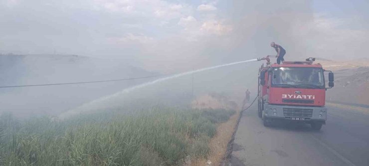 Siirt Üniversitesi Kezer yerleşkesi yakınlarında örtü yangını: 100 dönümden fazla alan zarar gördü