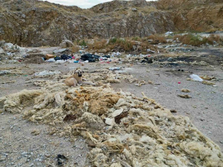 Çöplüğe dönen kum ocağında cevre felaketi yaşanıyor