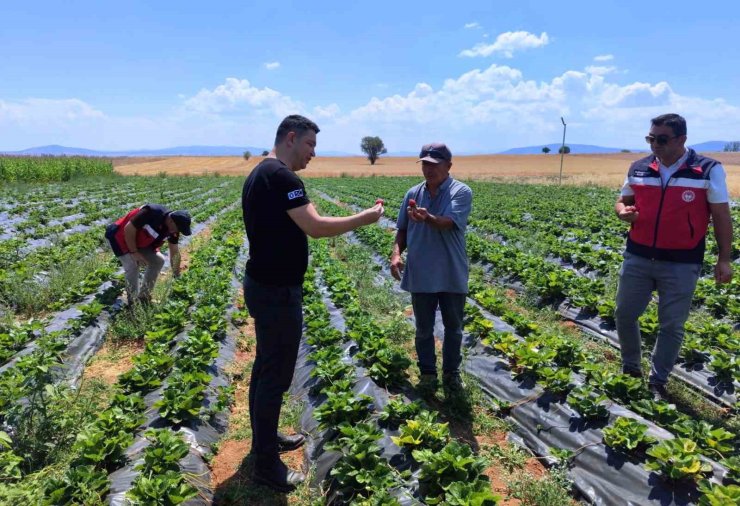 Aslanapa’da çilek ve biber üreticisine ziyaret
