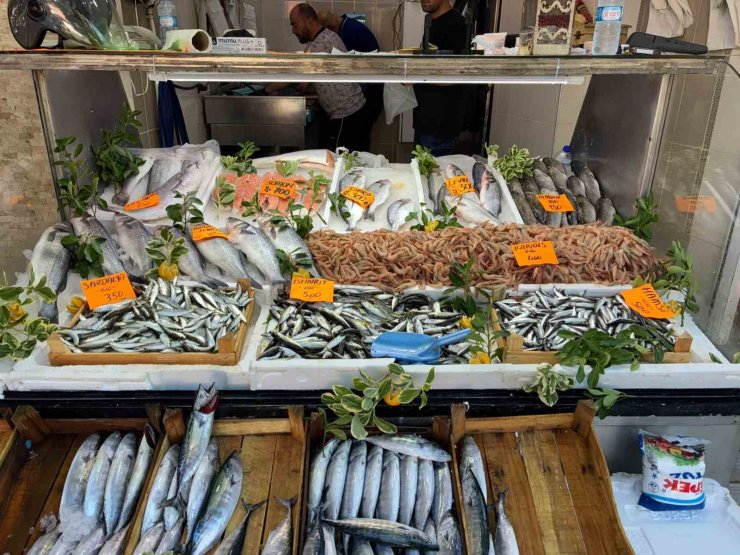 Tezgahta palamut bolluğu yaşanıyor