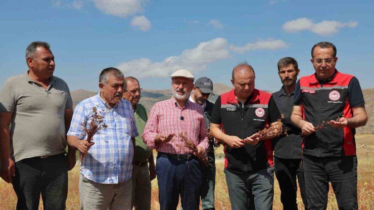 Başkan Çolakbayrakdar: "Kocasinan’ı arıcılıkta merkeze dönüştüreceğiz, şehre yeni bir tarım ürünü kazandıracağız"
