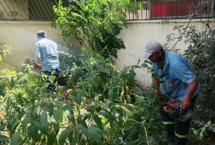 Mersin’ de park ve yeşil alanlarda bakım çalışmaları sürüyor