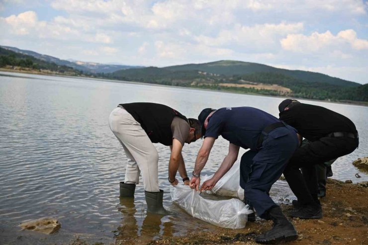 Uşak’ta Göğem Göleti’ne pullu sazan yavruları bırakıldı