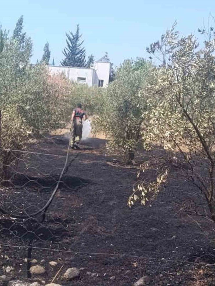 Dörtyol’da bahçe yangını kontrol altına alındı