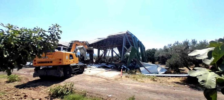 Bursa’da zeytinliğe yapılan kaçak depo böyle yıkıldı