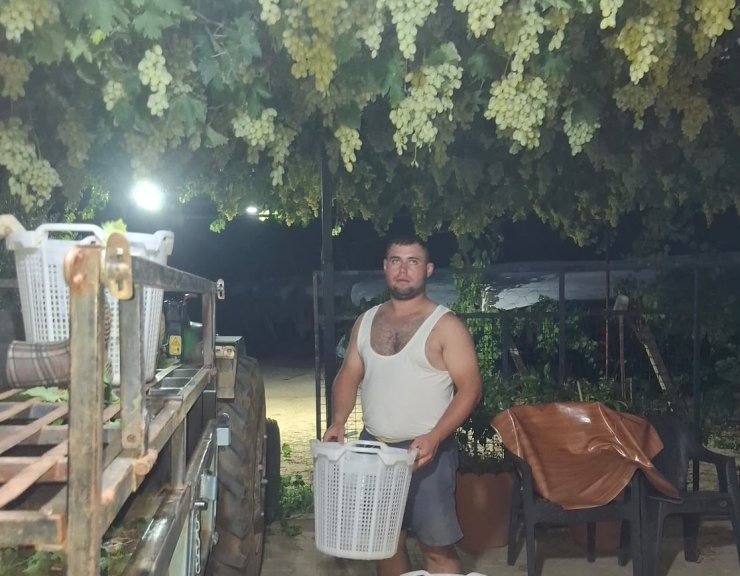 Sarıgöl’de üzüm için gece mesaisi
