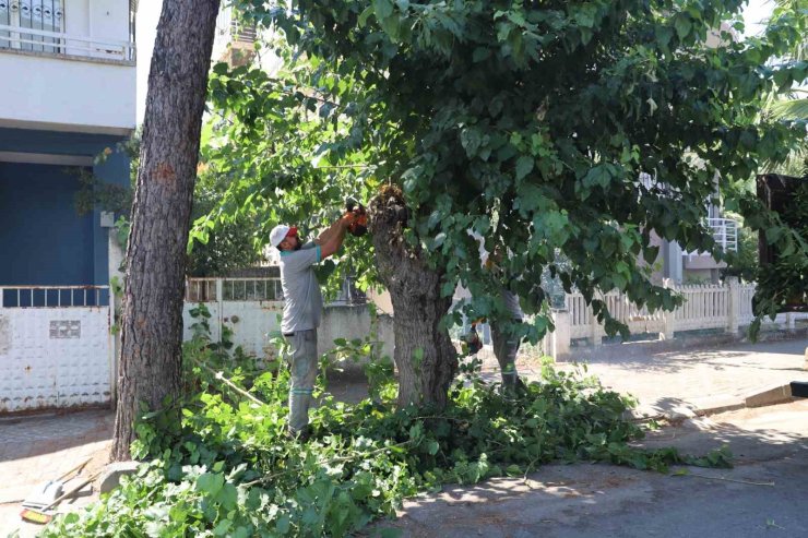 Nazilli’de yeşil alanlarda sonbahar hazırlığı