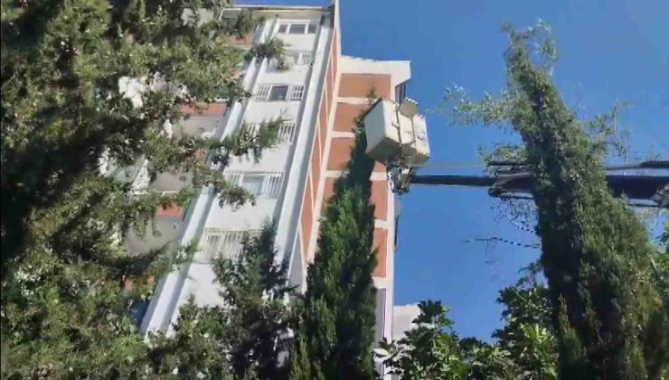 Mahsur kalan kediyi itfaiye kurtardı