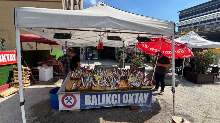 Balıkçı esnafından yeni sezon müjdesi, "Bu sene denizden balık fışkıracak"