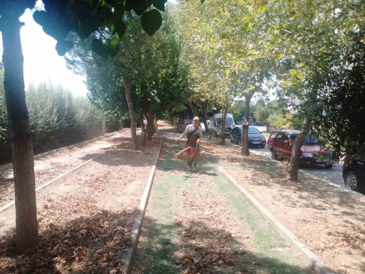 Köşk’te park ve yeşil alanlarda bakım çalışmaları sürüyor