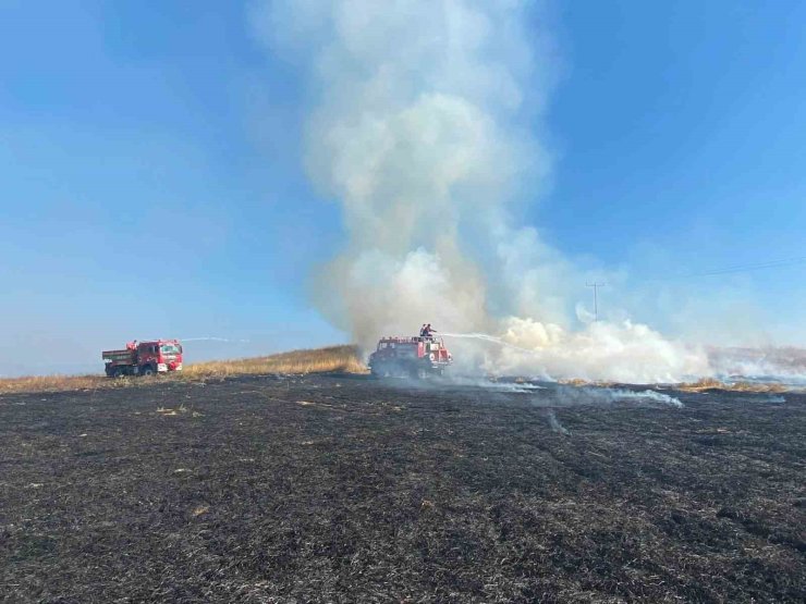 Bolu’da elektrik direğinden çıkan yangında 8 dekar alan zarar gördü