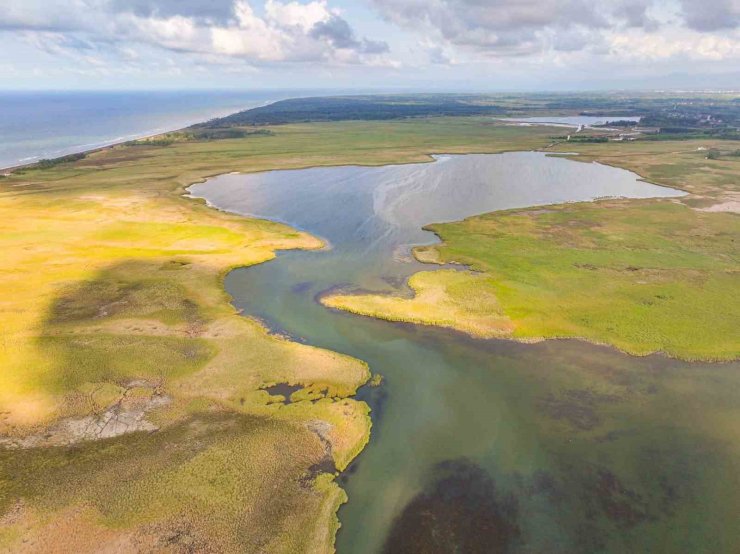 Terme’de tarih yeniden yazılıyor: Uzun soluklu akademik çalışma