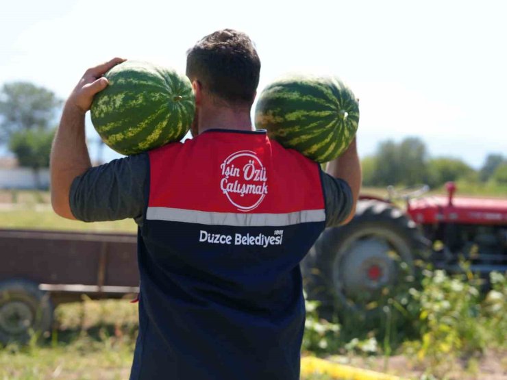 Ata tohumundan üretildi, ihtiyaç sahiplerine ulaştırıldı