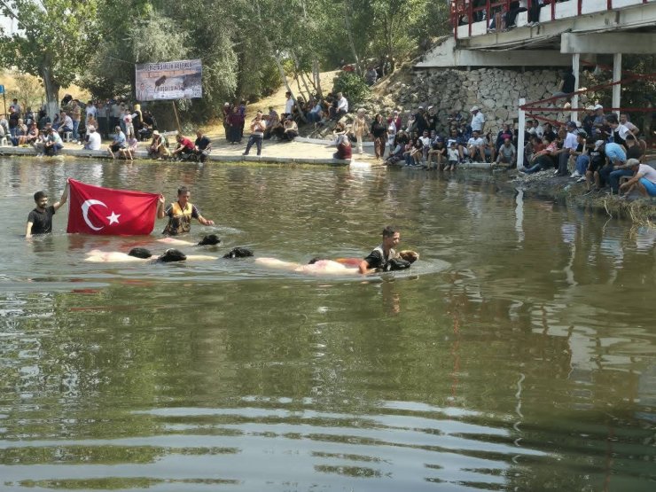 8 asırlık Çal Sudan Koyun Geçirme festivali yoğun katılımla gerçekleşti