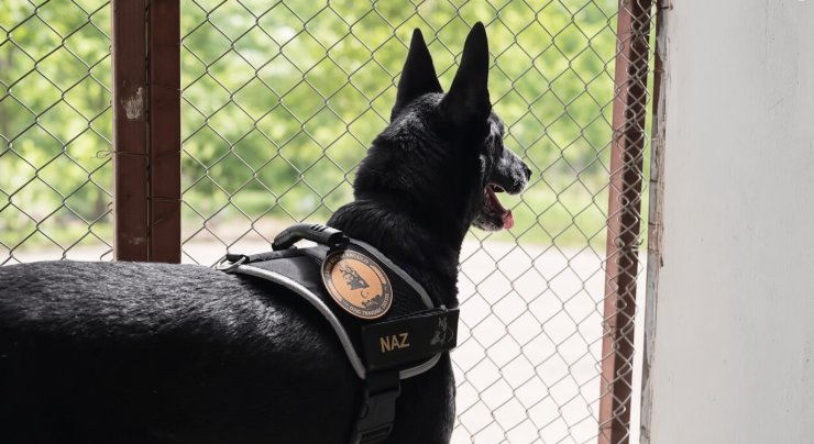 Narkotik operasyonlarının kahramanı narkotik köpeği emekli oldu