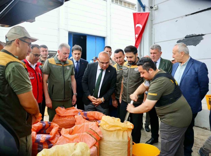 TMO, Giresun’da fındık alımına başladı