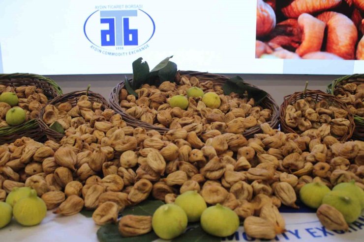 Aydın’da sezonun ilk kuru inciri 850 liradan satıldı