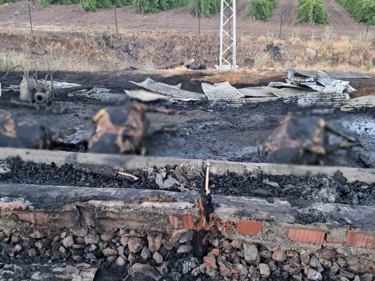 Elazığ’da 10 gün önce aldıkları 3 inek yangında telef oldu