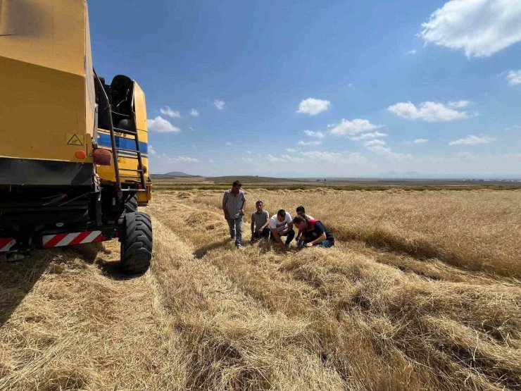 Kars’ta biçerdöver hasadı kontrolleri sıklaştırıldı