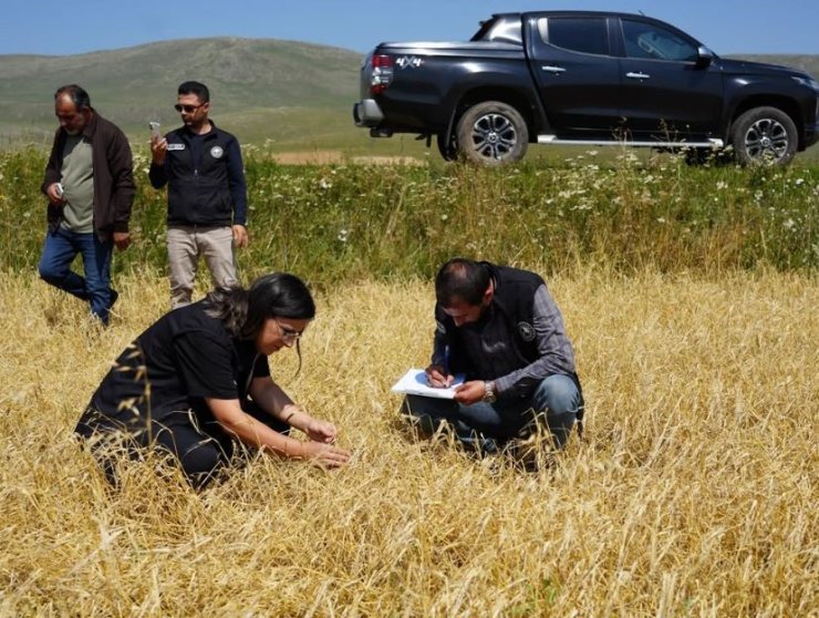 Aşırı yağış ve dolu nedeniyle zarar gören arazilerde hasar tespiti yapıldı