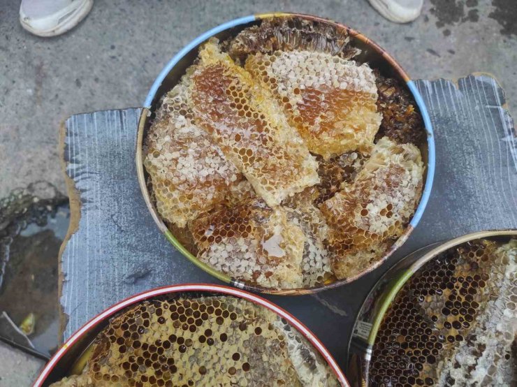 Sason’da ağaç kovuklarından çıkan balın kilosu çeyrek altını geride bıraktı