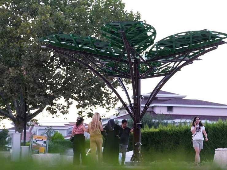 Denizli’de ’Solar Ağaç’ kent yaşamıyla buluştu