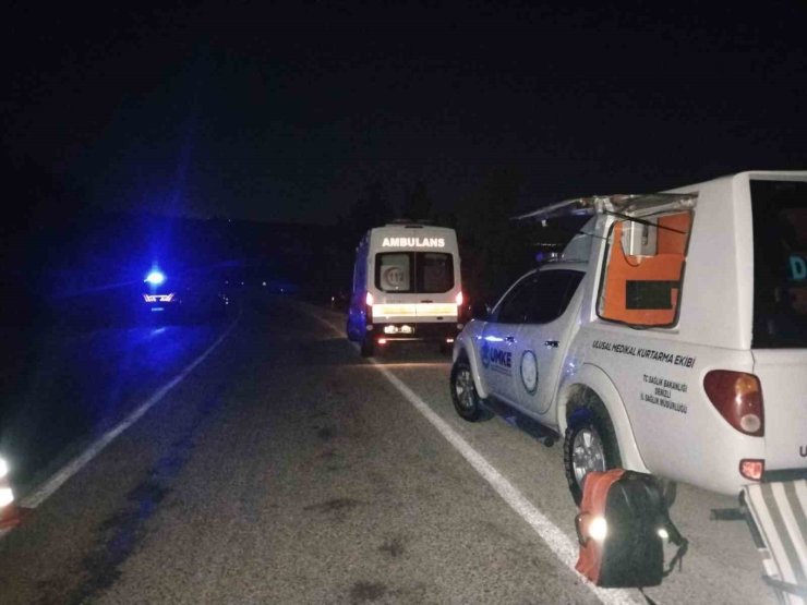 Yabani hayvana çarpan hafif ticari araç şarampole uçtu