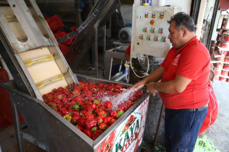 Gaziantep’te kışlık salça mesaisi başladı
