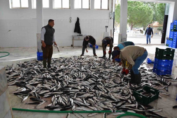 Muğla’nın Temmuz ayı ihracatı 142 milyon dolara ulaştı