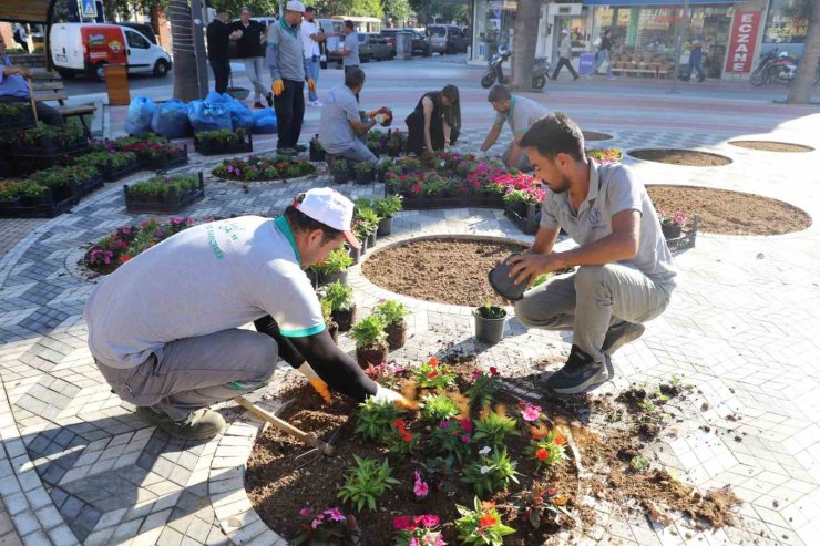 Nazilli Belediyesi kendi yetiştirdiği çiçeklerle Cumhuriyet Meydanı’nı süsledi