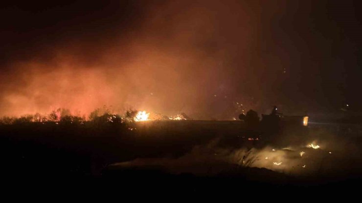 Antalya’da otluk yangını 30 dönümlük alanda etkili oldu