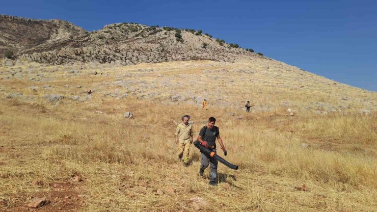 Diyarbakır’da yaklaşık 400 dönüm alanı küle çeviren yangın kontrol altına alındı