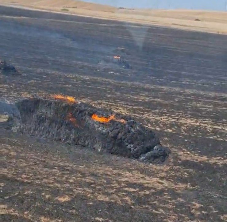Tekirdağ’da anız yangını: 250 dönüm alan ve yaklaşık 100 saman balyası kül oldu
