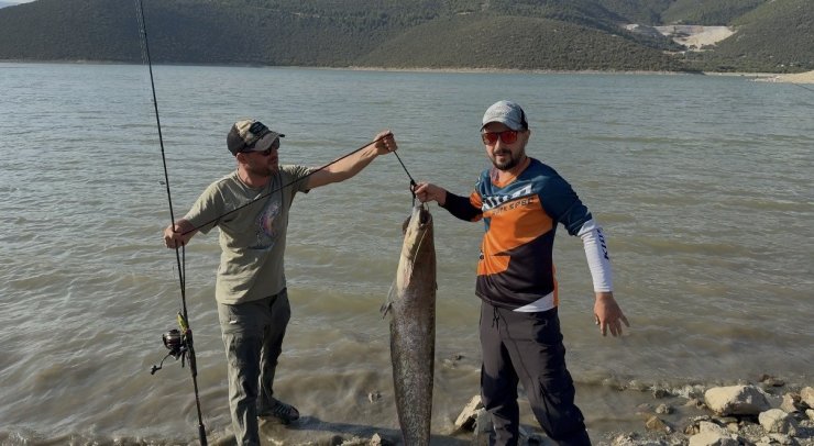Turna avına çıkan balıkçıların oltasına 127 santimlik dev yayın takıldı