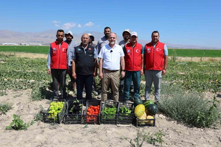 NÖHÜ’de 51 bin fideyle üretilen ürünlerin hasadı yapıldı
