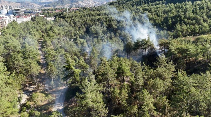 Kent ormanındaki örtü yangını büyümeden söndürüldü