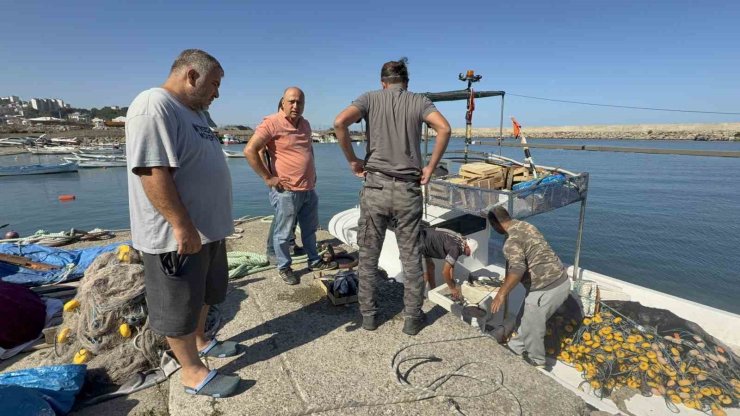 Balıkçılar sezonun ilk gününde 50 ton palamutla limana döndü