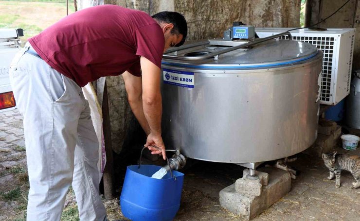 Soğutma tankları süt üreticisinin maliyetini düşürdü