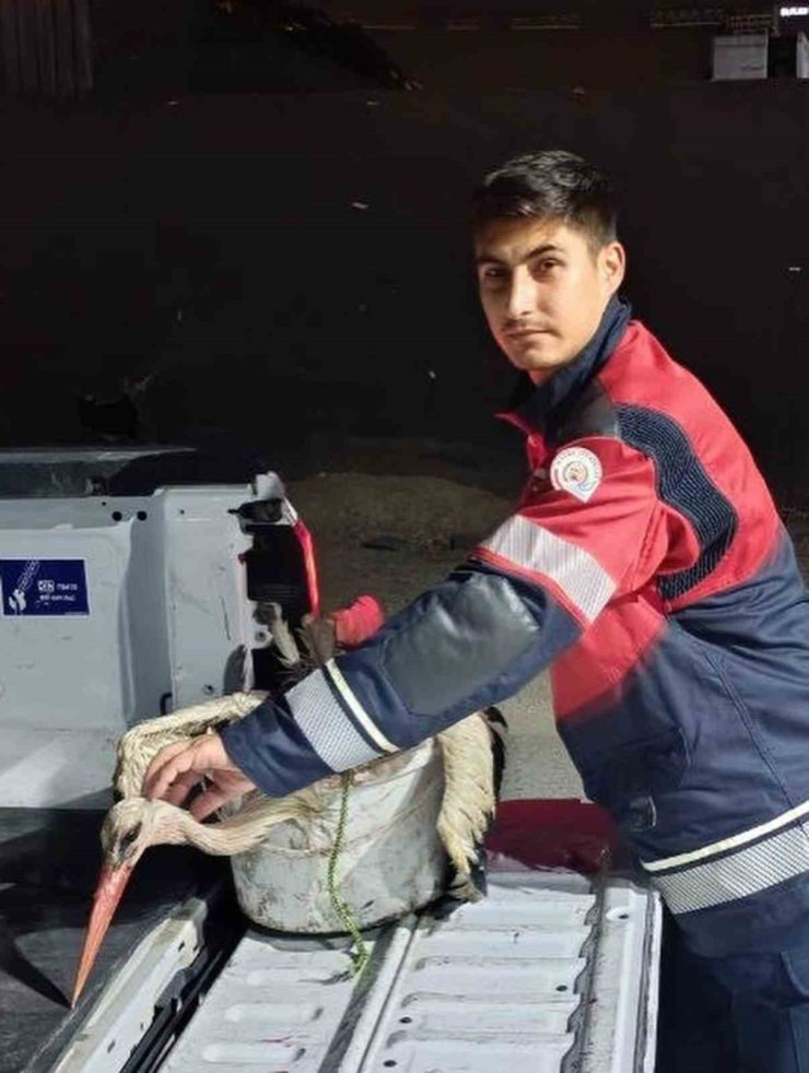 Arsuz’da kayalıklarda yorgun düşen leylek kurtarıldı