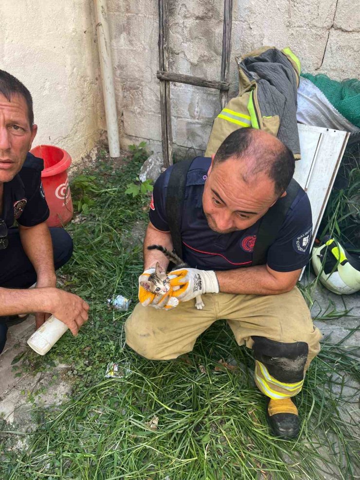Erdek’te iki bina arasına sıkışan yavru kedi kurtarıldı