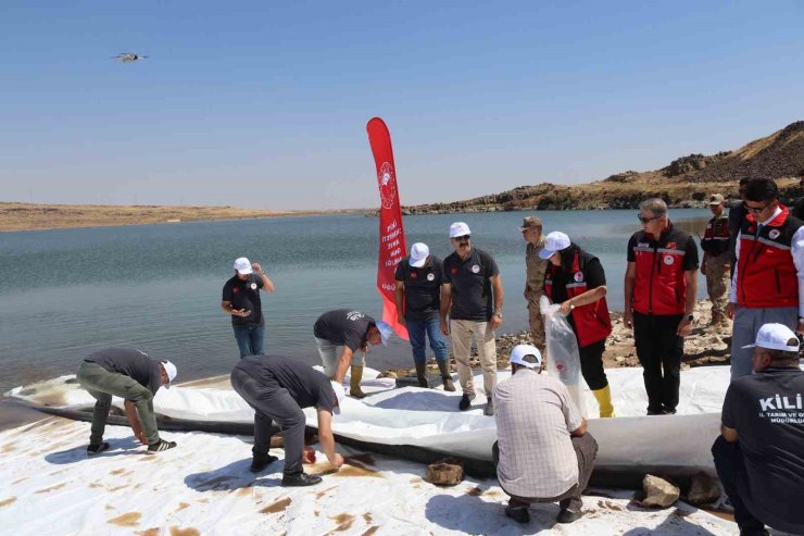Kilis’teki göletlere 600 bin adet yavru balık bırakıldı
