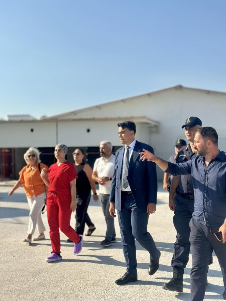 Bilecik’te tavuk çiftliğinde inceleme