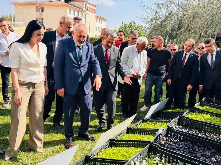Şırnak’ta üreticilere 152 bin sebze fidesi ve çoban çantası dağıtıldı