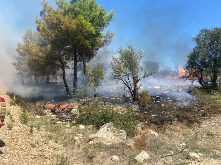 Antalya’da zirai alanda çıkan yangın büyümeden söndürüldü