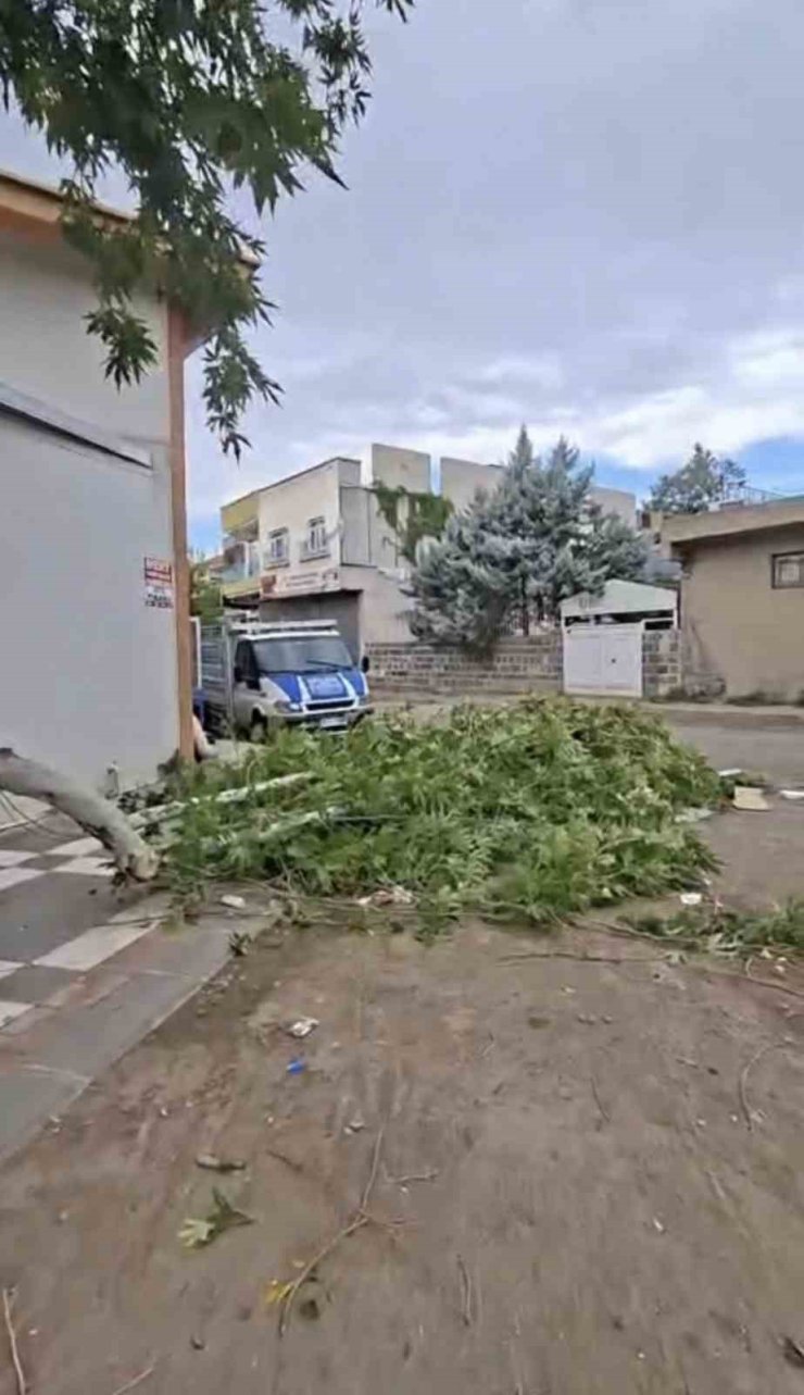 Siverek’te etkili olan fırtına, tarlada çalışan işçilere zor anlar yaşattı