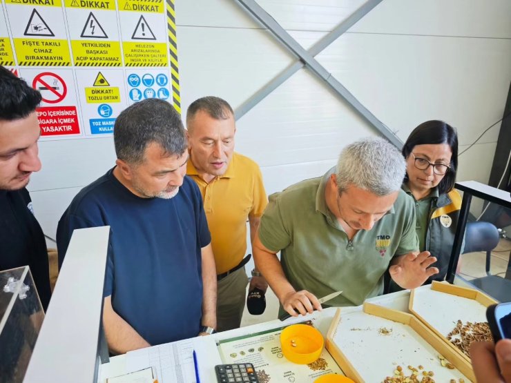 Yığılca TMO fındık alım merkezi açıldı