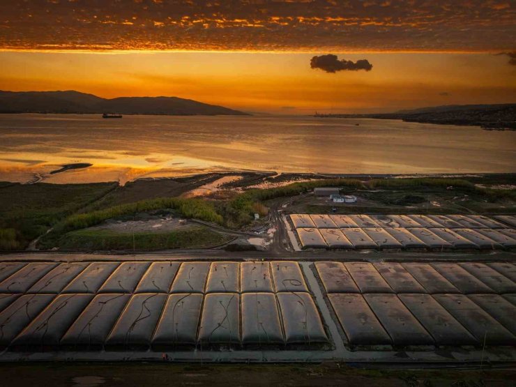 Körfez’in dibinden 160 bin kamyon dolusu çamur çıkarıldı