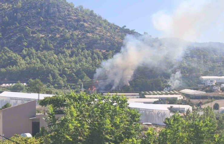 Bozyazı’da orman yangını büyümeden söndürüldü