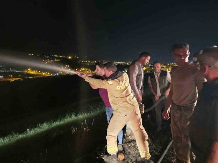 İdil’de alevlerle saatlerce mücadele: Yangın köy evlerine ulaşmadan söndürüldü