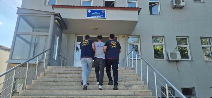Bingöl’de 5 bin 176 kök kenevir ele geçirildi